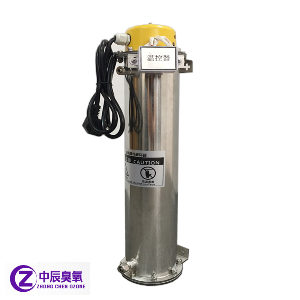 經典款臭氧毀滅器、臭氧尾（wěi）氣處理器